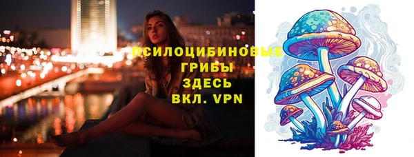 МДПВ Армянск